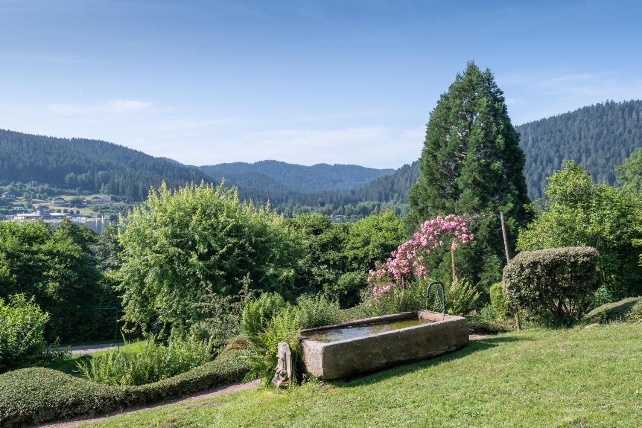 Le Manoir Au Lac Hotel Gerardmer Exterior photo