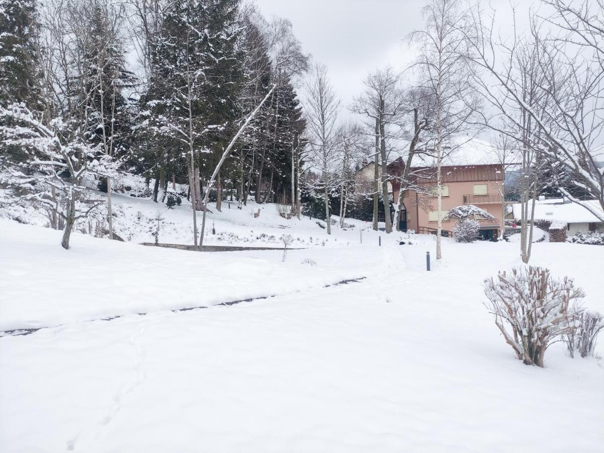 Le Manoir Au Lac Hotel Gerardmer Exterior photo